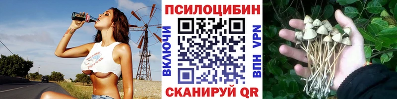 Псилоцибиновые грибы мицелий маркетплейс телеграм Уфа купить наркотик