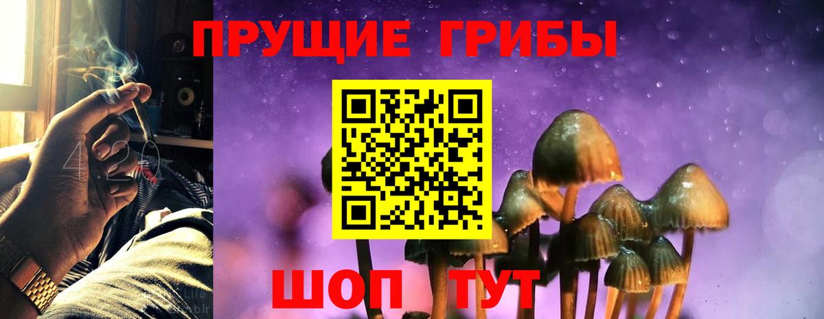 Галлюциногенные грибы Psilocybe Уфа